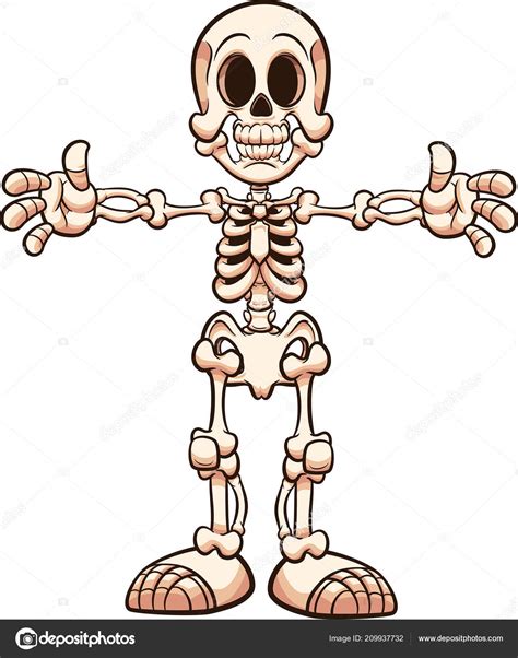 esqueleto dibujo